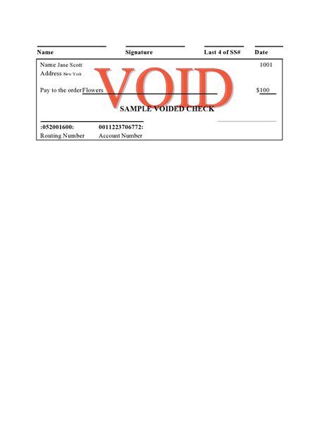 17 Voided Check Templates [Free] - TemplateArchive