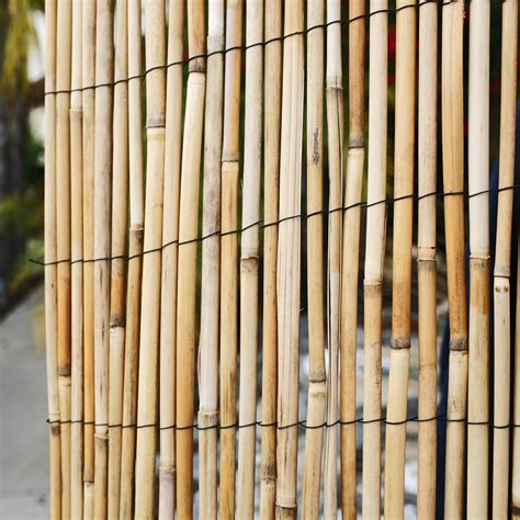 FOREVERBAMBOO FOREVER BAMBOO Jumbo Reed Bamboo Screen Fencing India | Ubuy