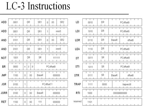 LC3 Tutorial 的图像结果