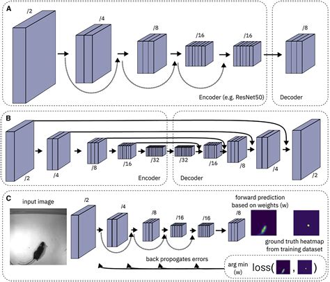 Image result for Deeplabcut Tutorial