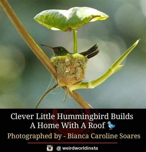 Image result for Appropriate Random Facts