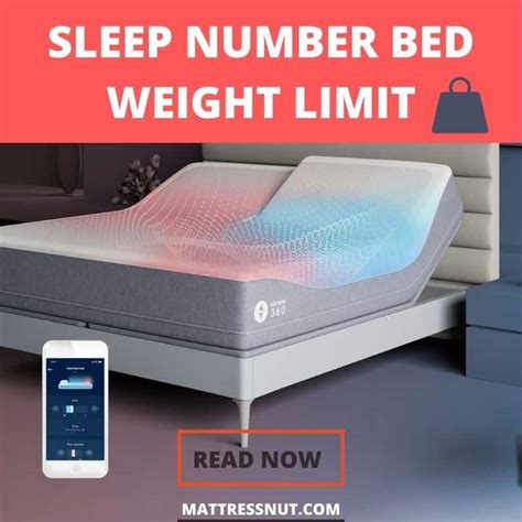 Image result for Sleep Number Size Chart