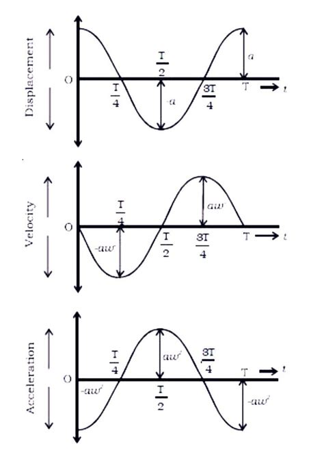 Particle performing S.H.M. starts from extreme position. Plot a graph ...