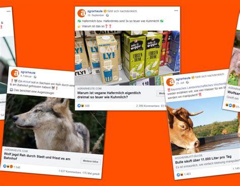 Jahresrückblick: Das hat die agrarheute-User 2021 am meisten bewegt ...