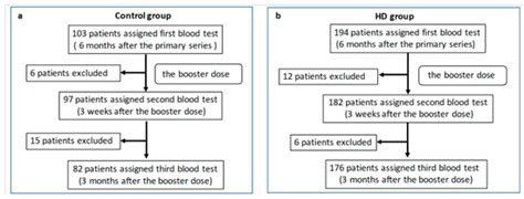 T-Cell Response and Antibody Production Induced by the COVID-19 Booster ...