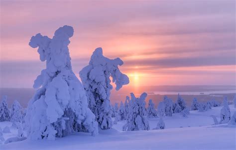 Wallpaper winter, snow, trees, landscape, nature, morning, ate, Finland ...