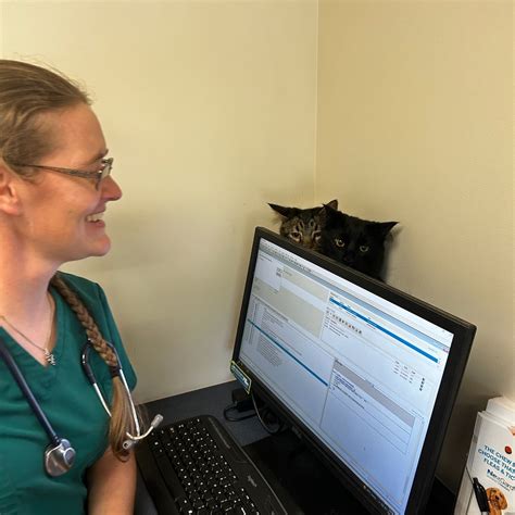 Silverado Veterinary Hospital Tour | Vet Clinic In Napa, CA