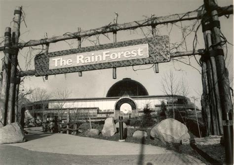Cleveland Metroparks Zoo Prepares for Primate Forest Transformation | Cleveland Metroparks