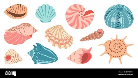 Shell 的图像结果