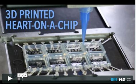 Moving into the next era with organs on chips - Citizens for ...