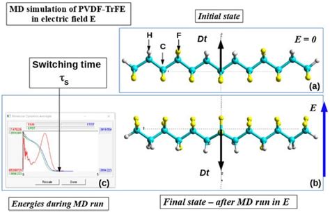 Ferroelectric Thin Films and Composites Based on Polyvinylidene ...