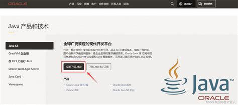 Java Windows 8 1 的图像结果