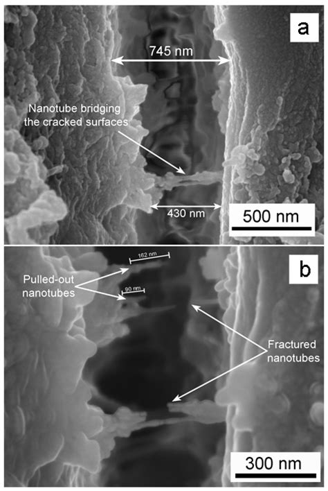 Polycarbonate/Titania Composites Incorporating TiO2 with Different ...