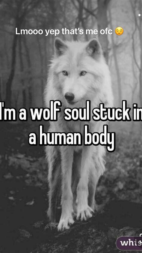 47 Wolf ideas | wolf, wolf quotes, lone wolf quotes