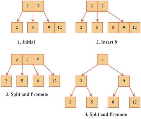 Multi-Way Tree for Data Struture 的图像结果
