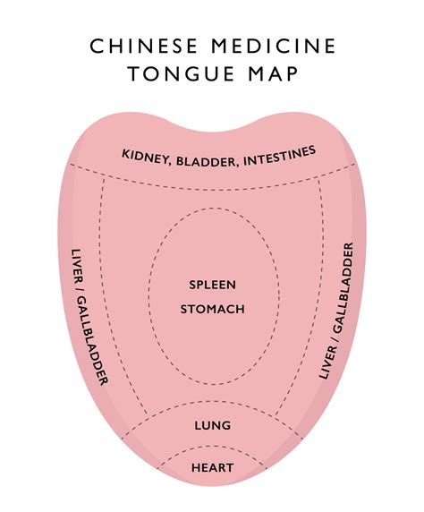 chinese_medicine_tongue_map - AcuMedic Clinic