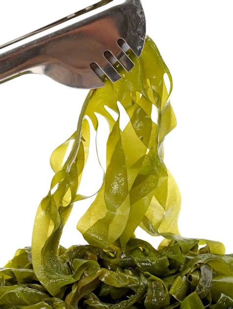Best Best Vegan Sources of Iodine