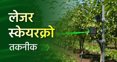 लेजर स्केयरक्रो तकनीक: खेतों से पक्षियों को भगाने का यंत्र | Laser ...