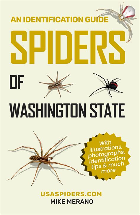 Spiders of Washington State - eBook - USA Spiders
