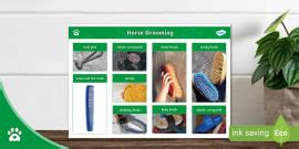 Horse Equipment - Word Mat - Horses - Equine - Twinkl Pets