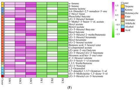 The Impact of Different Withering Approaches on the Metabolism of ...