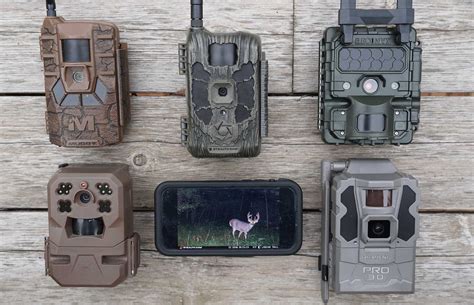 The Best Cellular Trail Cameras of 2025, Tested and Reviewed