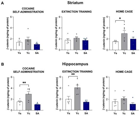 Cocaine and Its Abstinence Condition Modulate Striatal and Hippocampal ...