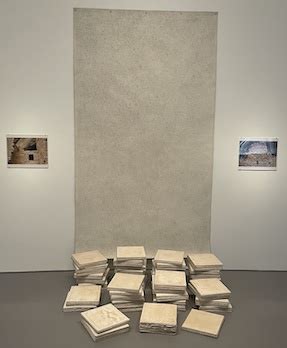 Michelle Stuart Facts for Kids