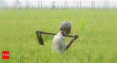 Amid labour shortage, Punjab wants MGNREGS workers in farms | India ...