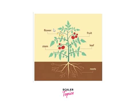 Image result for HTML Name Attribute Explained