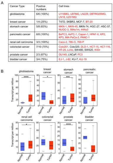 Identification of CD73 as the Antigen of an Antigen-Unknown Monoclonal ...