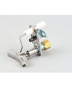Frymaster 8071311 Natural Gas Ignitor Assembly Fp-Tcf : Amazon.in: Home ...