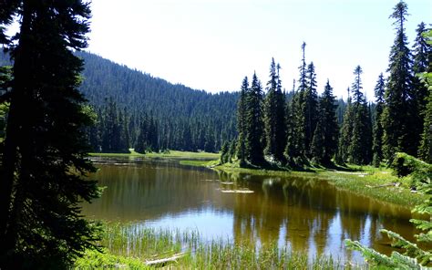 Iron Creek Campground in Gifford Pinchot National Forest, Washington ...