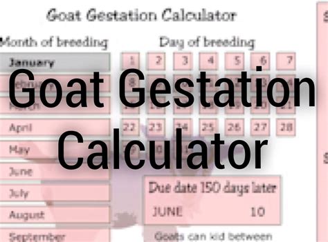 Goat Gestation Calendar - Printable And Enjoyable Learning