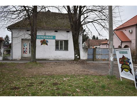 VIDRA VET | Veterinar Surcin, Ledine Becmen Jakovo, Veterinarska ...