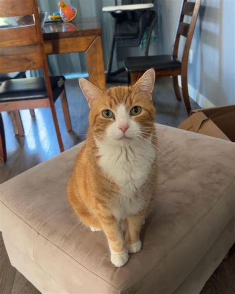 Walworth County Scanner (@walworthcountyscanner) • Instagram photos and ...