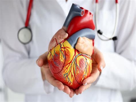 What You Know About Heart Attack? Test Your Knowledge | TheHealthSite.com