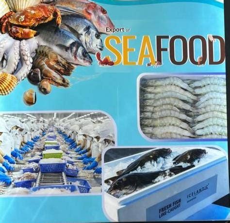 Kerala Fisheries Receives Acclaim at IITF Trade Fair 2023: A Showcase ...