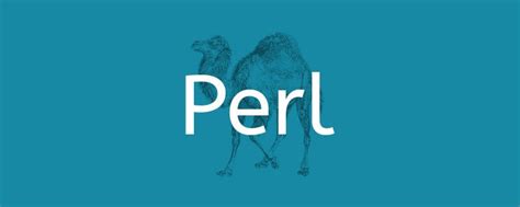 Image result for Perl Example for Kid