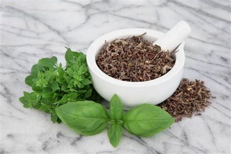 Why You Need To Be Adding Tulsi, ‘The Queen Of Herbs’ To Your Diet