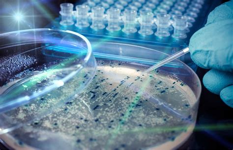 Image result for Colony-Forming Unit Definition