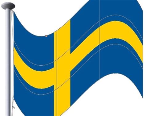 Image result for Flag Transform