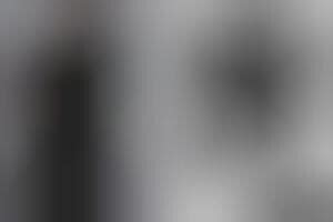 Feline Fanatic Editorials : Out Magazine