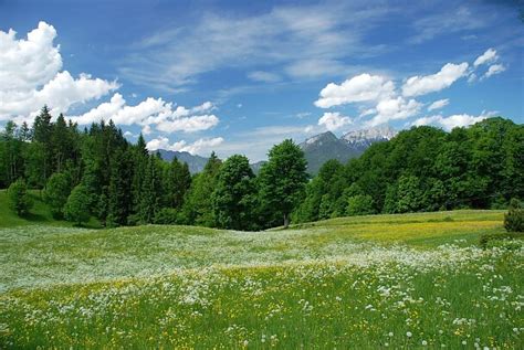 Here’s What We Do For Sustainability - tesa