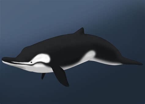 Image result for Ankylorhiza Minecraft Tutorial