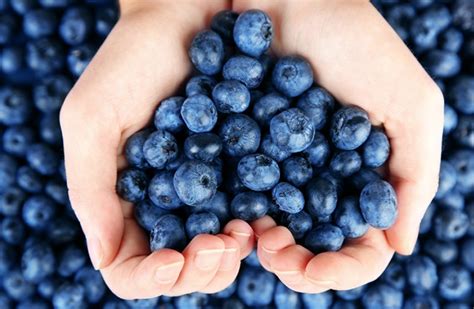 【蓝莓一天可以吃多少】 - 乐乐问答