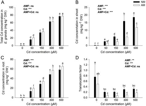 Effects of Arbuscular Mycorrhizal Fungi on the Growth and Root Cell ...