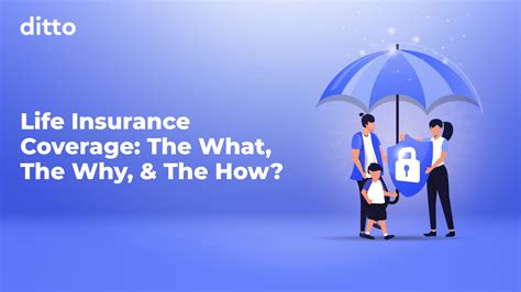Life Insurance Coverage 的图像结果