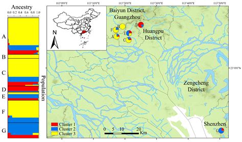 Diversity, Dispersal and Mode of Reproduction of Amanita exitialis in ...