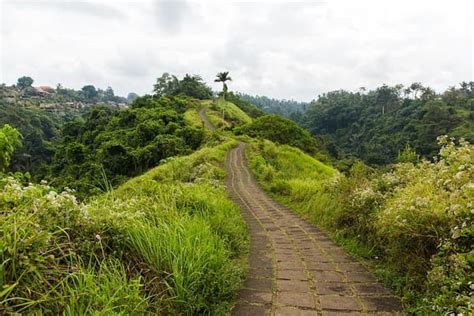 Campuhan Ridge Walk in Bali — Things to Do & Tips